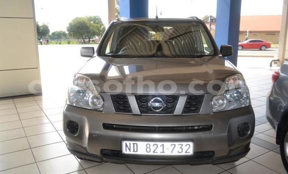 اشتري مستعمل Nissan X–Trail Silver سيارة في Maputsoa في Leribe اشتري مستعمل Nissan X–Trail Silver سيارة في Maputsoa في Leribe