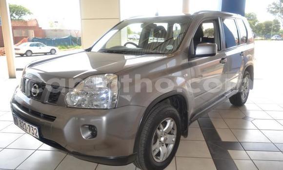 اشتري مستعمل Nissan X–Trail Silver سيارة في Maputsoa في Leribe اشتري مستعمل Nissan X–Trail Silver سيارة في Maputsoa في Leribe
