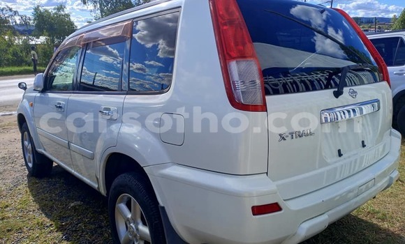 Buy Used Nissan X–Trail White Car in Maseru in Maseru Buy Used Nissan X–Trail White Car in Maseru in Maseru