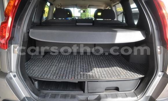 اشتري مستعمل Nissan X–Trail Silver سيارة في Maputsoa في Leribe اشتري مستعمل Nissan X–Trail Silver سيارة في Maputsoa في Leribe