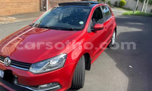 Sayi Na hannu Volkswagen Polo Red Mota in Maseru a Maseru Sayi Na hannu Volkswagen Polo Red Mota in Maseru a Maseru