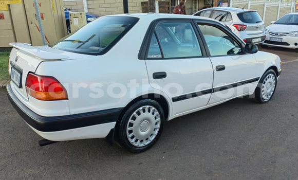 اشتري مستعمل Toyota Corolla White سيارة في Maseru في Maseru اشتري مستعمل Toyota Corolla White سيارة في Maseru في Maseru