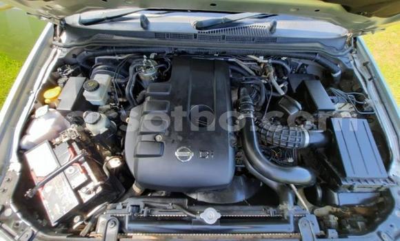 اشتري مستعمل Nissan Navara Silver سيارة في Maseru في Maseru اشتري مستعمل Nissan Navara Silver سيارة في Maseru في Maseru