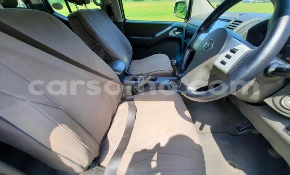 اشتري مستعمل Nissan Navara Silver سيارة في Maseru في Maseru اشتري مستعمل Nissan Navara Silver سيارة في Maseru في Maseru