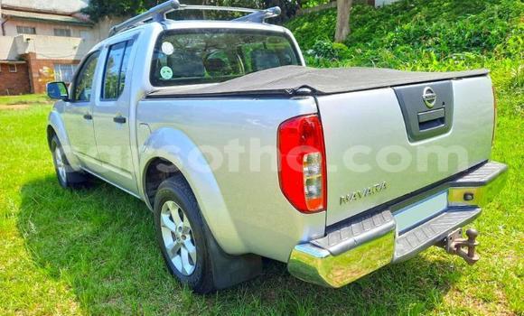 اشتري مستعمل Nissan Navara Silver سيارة في Maseru في Maseru اشتري مستعمل Nissan Navara Silver سيارة في Maseru في Maseru