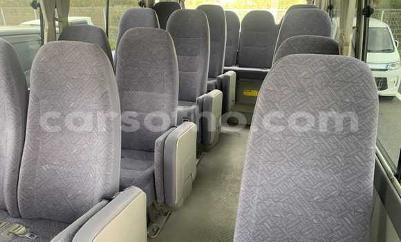 اشتري مستعمل Toyota Coaster Silver سيارة في Maseru في Maseru اشتري مستعمل Toyota Coaster Silver سيارة في Maseru في Maseru