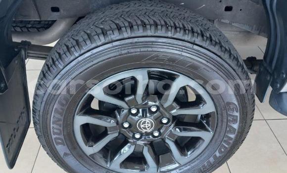 Acheter Occasion Voiture Toyota Hilux Rouge à Maseru, Maseru Acheter Occasion Voiture Toyota Hilux Rouge à Maseru, Maseru