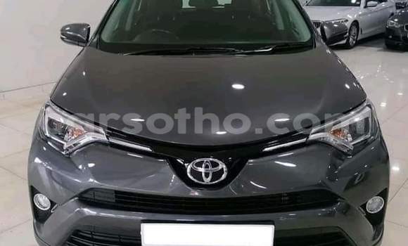 Sayi Na hannu Toyota RAV4 Other Mota in Maseru a Maseru