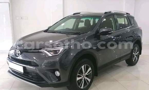 Sayi Na hannu Toyota RAV4 Other Mota in Maseru a Maseru Sayi Na hannu Toyota RAV4 Other Mota in Maseru a Maseru