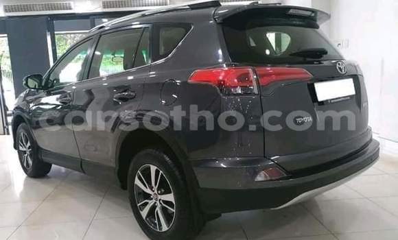 Sayi Na hannu Toyota RAV4 Other Mota in Maseru a Maseru Sayi Na hannu Toyota RAV4 Other Mota in Maseru a Maseru