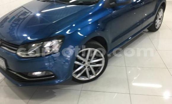 Buy Used Volkswagen Polo Blue Car in Hlotse in Leribe Buy Used Volkswagen Polo Blue Car in Hlotse in Leribe