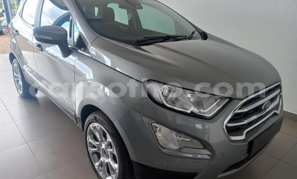 اشتري مستعمل Ford EcoSport Silver سيارة في Roma في Maseru