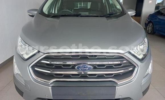 اشتري مستعمل Ford EcoSport Silver سيارة في Roma في Maseru اشتري مستعمل Ford EcoSport Silver سيارة في Roma في Maseru