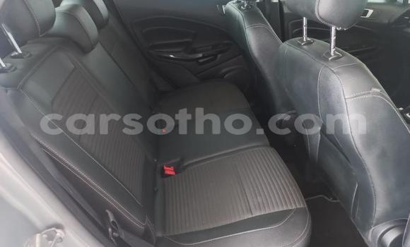 اشتري مستعمل Ford EcoSport Silver سيارة في Roma في Maseru اشتري مستعمل Ford EcoSport Silver سيارة في Roma في Maseru