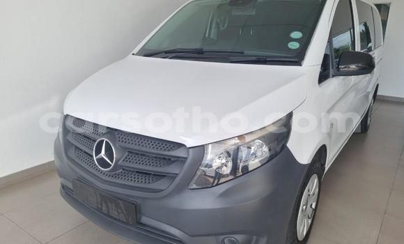 اشتري مستعمل Mercedes-Benz Vito White سيارة في Thaba–Tseka في Mafeteng اشتري مستعمل Mercedes-Benz Vito White سيارة في Thaba–Tseka في Mafeteng