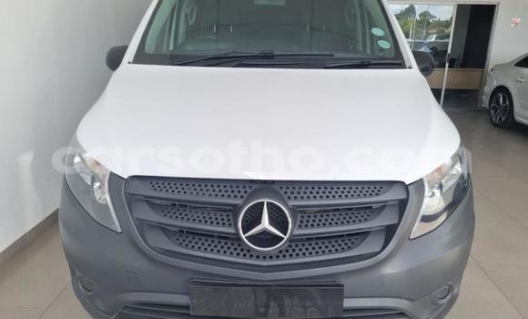 اشتري مستعمل Mercedes-Benz Vito White سيارة في Thaba–Tseka في Mafeteng اشتري مستعمل Mercedes-Benz Vito White سيارة في Thaba–Tseka في Mafeteng