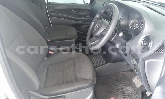 اشتري مستعمل Mercedes-Benz Vito White سيارة في Thaba–Tseka في Mafeteng اشتري مستعمل Mercedes-Benz Vito White سيارة في Thaba–Tseka في Mafeteng