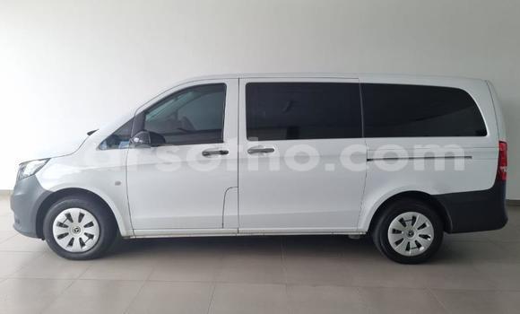 اشتري مستعمل Mercedes-Benz Vito White سيارة في Thaba–Tseka في Mafeteng اشتري مستعمل Mercedes-Benz Vito White سيارة في Thaba–Tseka في Mafeteng
