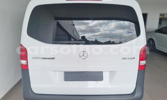 اشتري مستعمل Mercedes-Benz Vito White سيارة في Thaba–Tseka في Mafeteng اشتري مستعمل Mercedes-Benz Vito White سيارة في Thaba–Tseka في Mafeteng