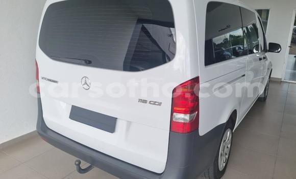اشتري مستعمل Mercedes-Benz Vito White سيارة في Thaba–Tseka في Mafeteng اشتري مستعمل Mercedes-Benz Vito White سيارة في Thaba–Tseka في Mafeteng
