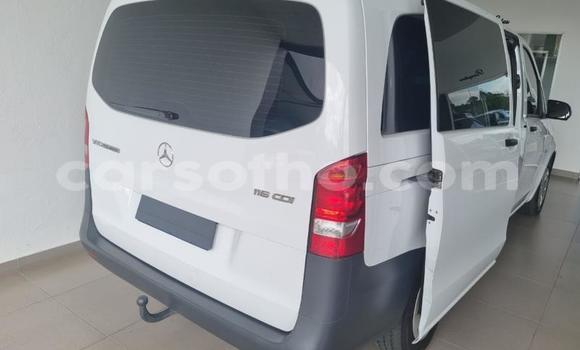 اشتري مستعمل Mercedes-Benz Vito White سيارة في Thaba–Tseka في Mafeteng اشتري مستعمل Mercedes-Benz Vito White سيارة في Thaba–Tseka في Mafeteng
