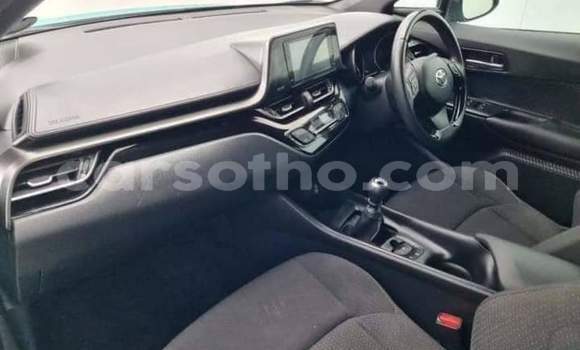 اشتري مستعمل Toyota C-HR Blue سيارة في Maseru في Maseru اشتري مستعمل Toyota C-HR Blue سيارة في Maseru في Maseru