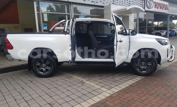 Acheter Occasion Voiture Toyota Hilux Blanc à Maputsoe, Leribe Acheter Occasion Voiture Toyota Hilux Blanc à Maputsoe, Leribe