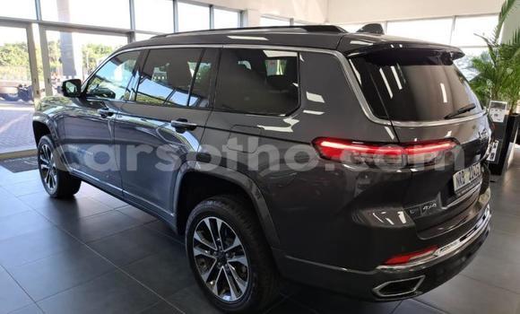 اشتري مستعمل Jeep Grand Cherokee Other سيارة في Maseru في Maseru اشتري مستعمل Jeep Grand Cherokee Other سيارة في Maseru في Maseru