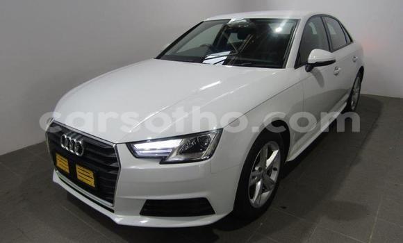 Sayi Na hannu Audi A4 White Mota in Maputsoa a Leribe Sayi Na hannu Audi A4 White Mota in Maputsoa a Leribe