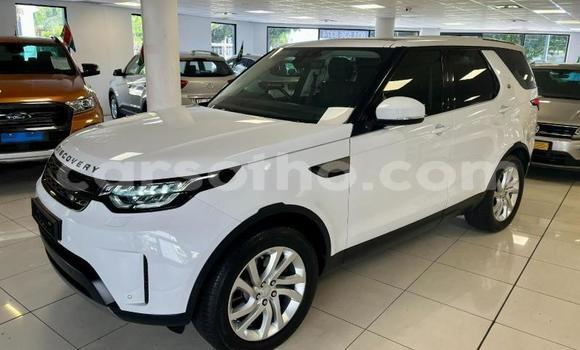 Buy Used Land Rover Discovery White Car in Maseru in Maseru