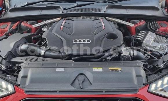 اشتري مستعمل Audi S4 Red سيارة في Maseru في Maseru اشتري مستعمل Audi S4 Red سيارة في Maseru في Maseru