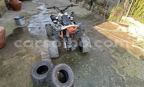 Sayi Na hannu Big Dog K9 Other Motsi in Maseru a Maseru Sayi Na hannu Big Dog K9 Other Motsi in Maseru a Maseru