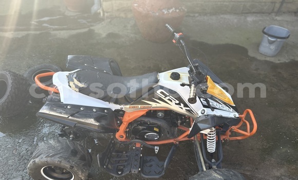 Sayi Na hannu Big Dog K9 Other Motsi in Maseru a Maseru Sayi Na hannu Big Dog K9 Other Motsi in Maseru a Maseru