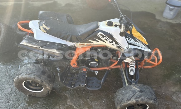 Sayi Na hannu Big Dog K9 Other Motsi in Maseru a Maseru Sayi Na hannu Big Dog K9 Other Motsi in Maseru a Maseru