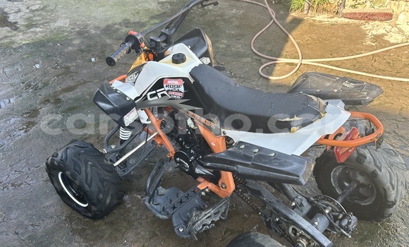 Sayi Na hannu Big Dog K9 Other Motsi in Maseru a Maseru Sayi Na hannu Big Dog K9 Other Motsi in Maseru a Maseru