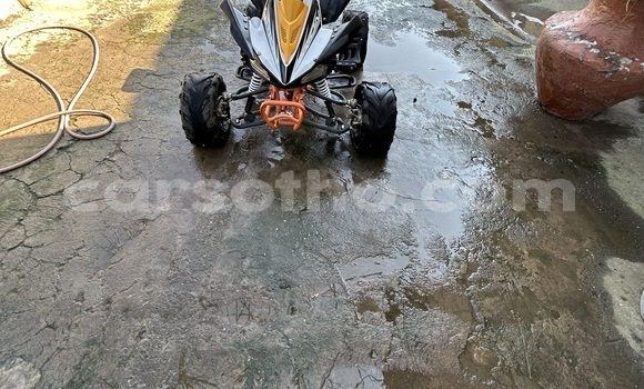 Sayi Na hannu Big Dog K9 Other Motsi in Maseru a Maseru Sayi Na hannu Big Dog K9 Other Motsi in Maseru a Maseru