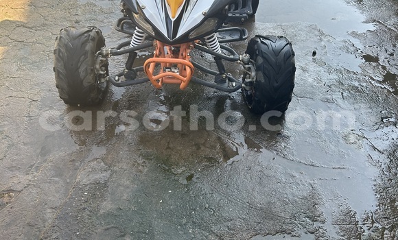 Sayi Na hannu Big Dog K9 Other Motsi in Maseru a Maseru Sayi Na hannu Big Dog K9 Other Motsi in Maseru a Maseru