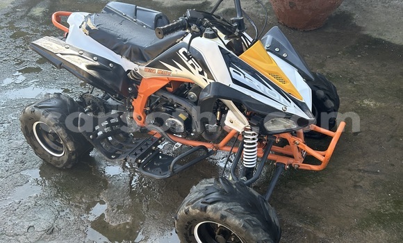 Sayi Na hannu Big Dog K9 Other Motsi in Maseru a Maseru Sayi Na hannu Big Dog K9 Other Motsi in Maseru a Maseru