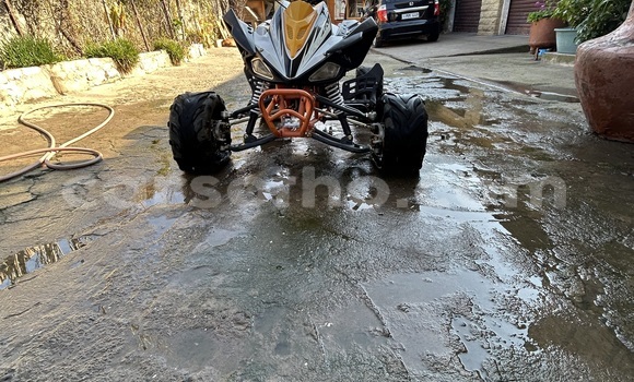 Sayi Na hannu Big Dog K9 Other Motsi in Maseru a Maseru Sayi Na hannu Big Dog K9 Other Motsi in Maseru a Maseru