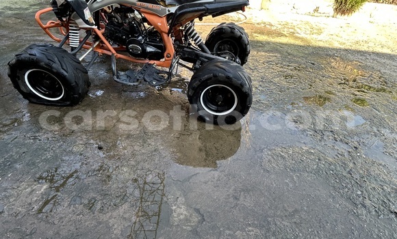 Sayi Na hannu Big Dog K9 Other Motsi in Maseru a Maseru Sayi Na hannu Big Dog K9 Other Motsi in Maseru a Maseru