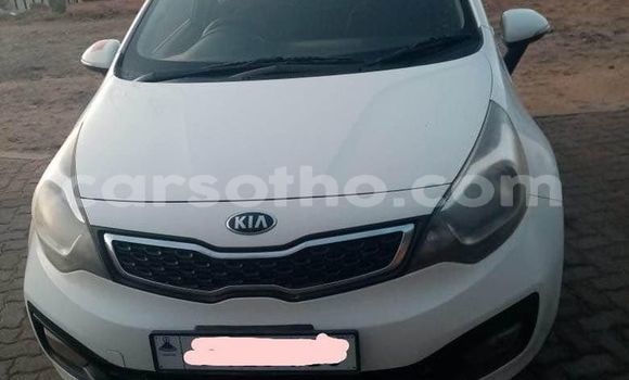 اشتري مستعمل Kia Carnival White سيارة في Maseru في Maseru اشتري مستعمل Kia Carnival White سيارة في Maseru في Maseru