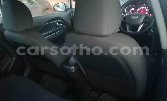 اشتري مستعمل Kia Carnival White سيارة في Maseru في Maseru اشتري مستعمل Kia Carnival White سيارة في Maseru في Maseru