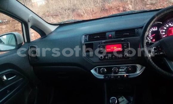 اشتري مستعمل Kia Carnival White سيارة في Maseru في Maseru اشتري مستعمل Kia Carnival White سيارة في Maseru في Maseru