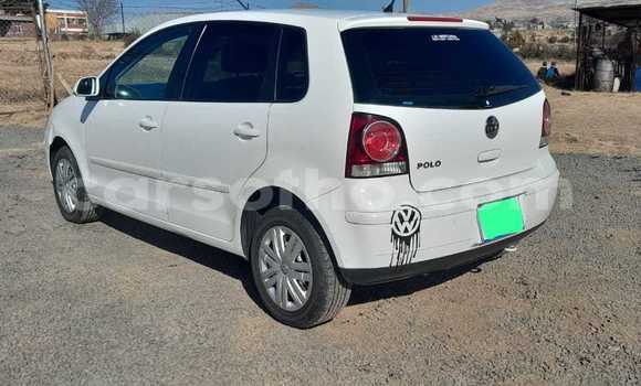 Buy Used Volkswagen Polo White Car in Maseru in Maseru Buy Used Volkswagen Polo White Car in Maseru in Maseru