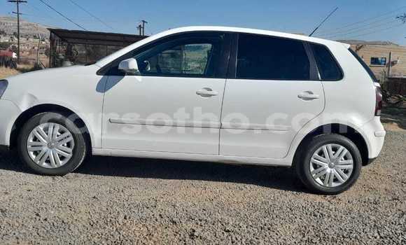 Buy Used Volkswagen Polo White Car in Maseru in Maseru Buy Used Volkswagen Polo White Car in Maseru in Maseru