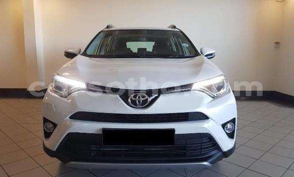 اشتري مستعمل Toyota RAV4 White سيارة في Maseru في Maseru اشتري مستعمل Toyota RAV4 White سيارة في Maseru في Maseru