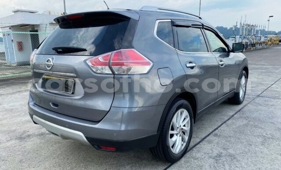 Acheter Occasion Voiture Nissan X–Trail Gris à Maputsoe, Leribe Acheter Occasion Voiture Nissan X–Trail Gris à Maputsoe, Leribe
