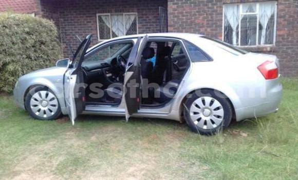 Buy Used Audi A4 Silver Car in Maseru in Maseru Buy Used Audi A4 Silver Car in Maseru in Maseru