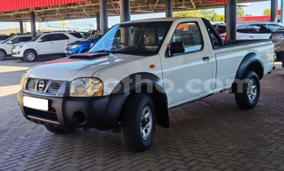 اشتري مستعمل Nissan Hardbody White سيارة في Maputsoe في Leribe اشتري مستعمل Nissan Hardbody White سيارة في Maputsoe في Leribe