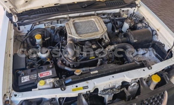 Sayi Na hannu Nissan Hardbody White Mota in Maputsoe a Leribe Sayi Na hannu Nissan Hardbody White Mota in Maputsoe a Leribe